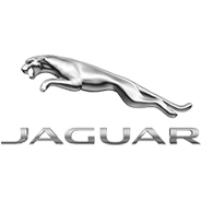 Jaguar Center Caps & Inserts